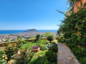 Next property