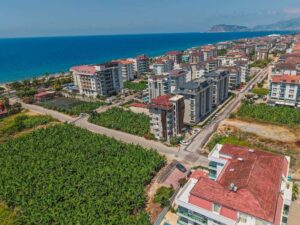 Next property